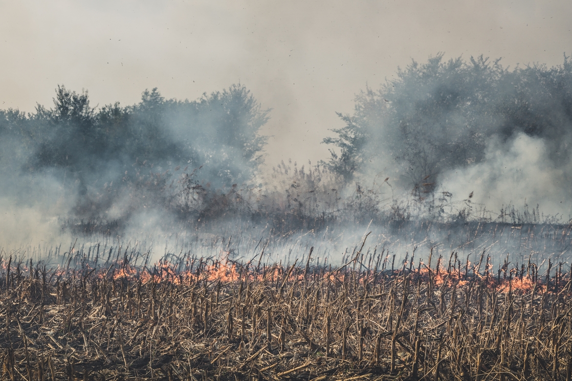 Rincón de Seca cuenta con una biotrituradora para evitar las quemas agrícolas en la pedanía