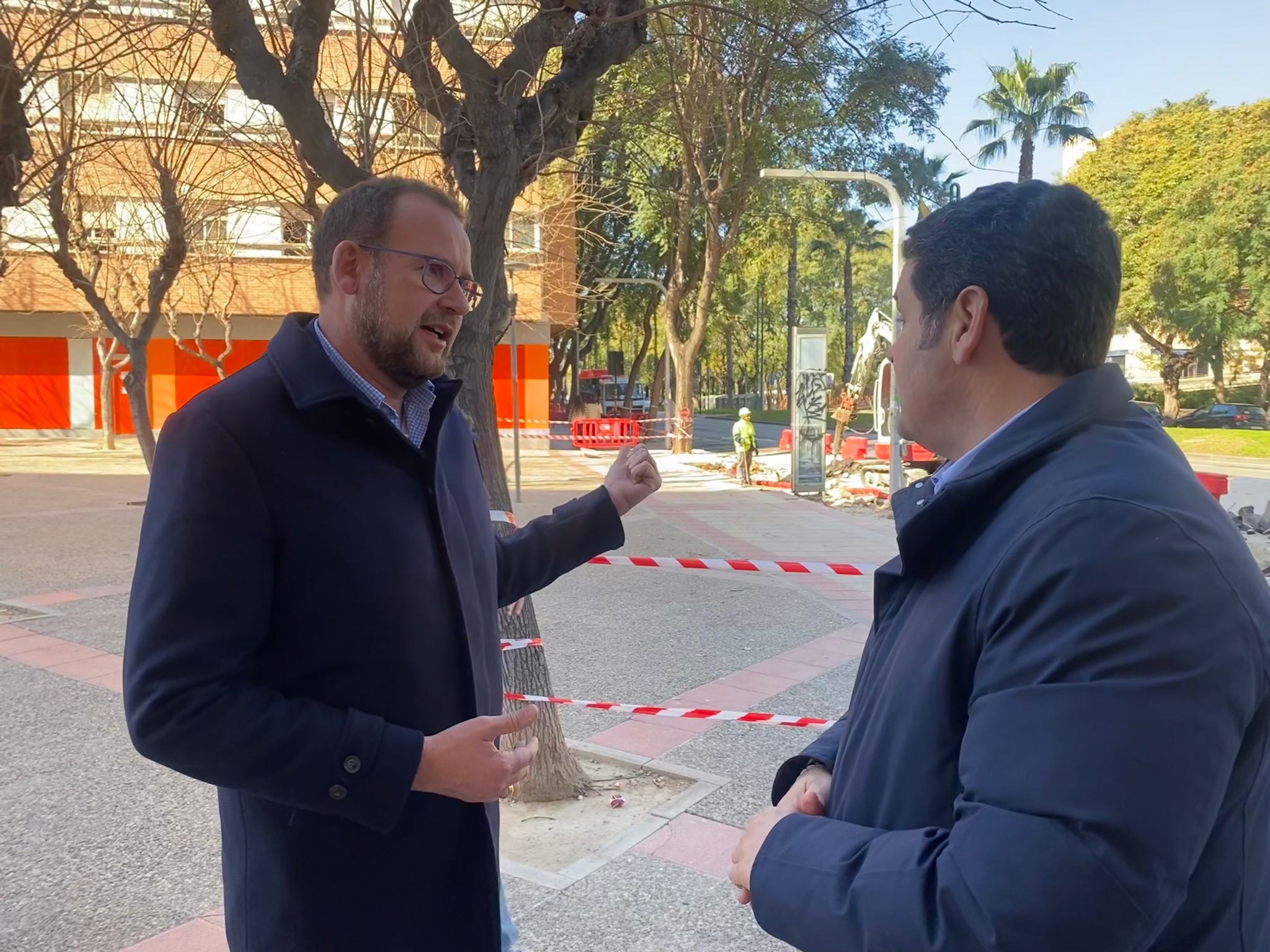 Los socialistas continúan imparables con la tala de árboles en Murcia